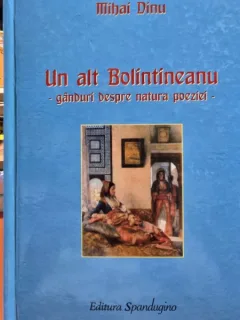 Un alt Bolintineanu, ganduri despre natura poeziei - Mihai Dinu