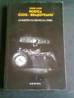UN BLESTEM CU DOMICILIUL STABIL - RODICA OJOG BRASOVEANU