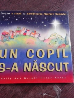 UN COPIL S-A NASCUT - SALLY ANN WRIGHT  (CONTINE O SCENA CU SARBATOAREA NASTERII DOMNULUI, 3D)