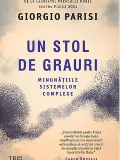 Un stol de grauri - Giorgio Parisi