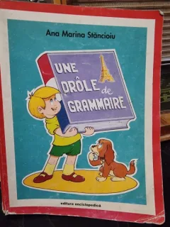 Une drole de grammaire - Ana Maria Stancioiu