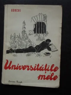 Universitatile mele - Gorchi