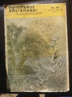 Universul copiilor nr. 37