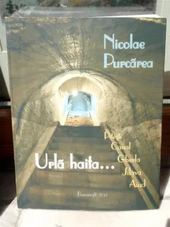 URLA HAITA..., PITESTI, CANAL, GHERLA, JILAVA, AIUD, NICOLAE PURCAREA