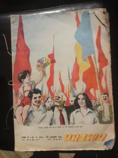 Urzica nr.13