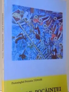 USILE POCAINTEI - PETRONIU TANASE