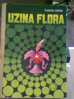 UZINA FLORA - TUDOR OPRIS