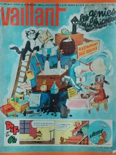 Vaillant nr.976/1964