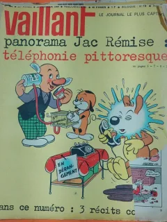 Vaillant nr.980/1964