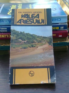 Valea Argesului - Ion Popescu Argesel