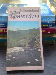 Valea Dimbovitei - Ion Popescu Argesel