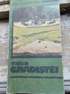Valea Gradistei - Aurelia Baciu