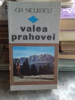 VALEA PRAHOVEI - GH. NICULESCU
