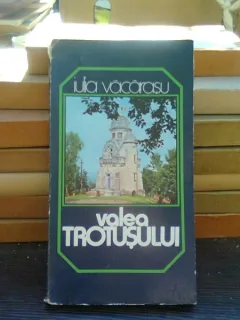 Valea Trotusului - Iulia Vacarasu