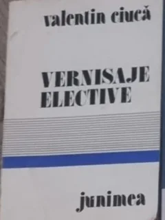 Valentin Ciuca - Vernisaje Elective