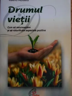 Valerio Albisetti - Drumul Vietii. Cum sa recunoastem si sa valorificam aspectele pozitive.