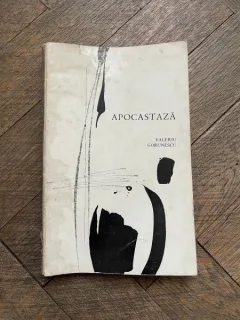 Valeriu Gorunescu - Apocastaza