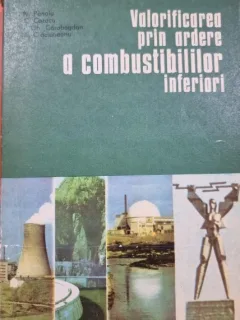 Valorificarea prin ardere a combustibililor inferiori - N. Panoiu, C. Cazacu, I. Gh. Carabogdan, C. Craciuneanu