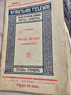 Valul Negru. Sensibilitatea - Dickens