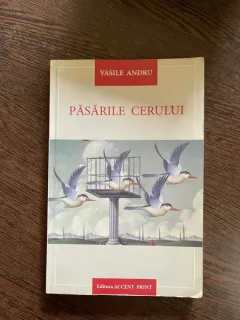 Vasile Andru - Pasarile cerului
