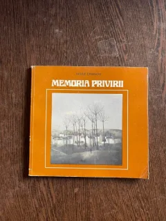 Vasile Chinschi - Memoria privirii