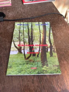 Vasile Sanda Sorin Stefanut Atlas Florae Romaniae II. Betulaceae