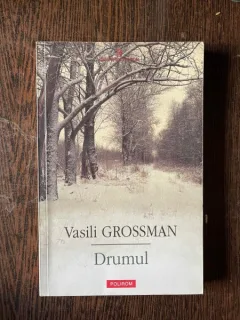 Vasili Grossman - Drumul