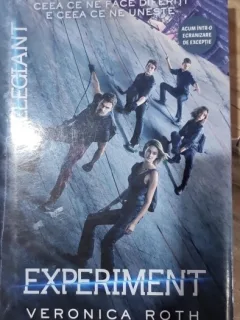 Veronica Roth - Experiment