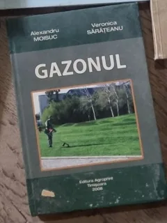 Veronica Sarateanu - Gazonul