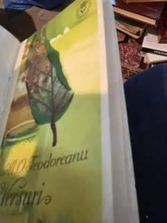 Versuri - Al. O. Teodoreanu
