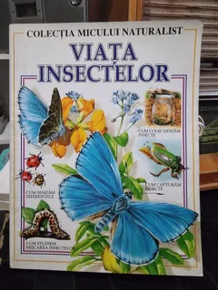 Viata insectelor, colectia micului naturalist