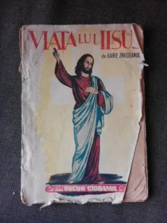 Viata lui Iisus - Ilarie Zavideanul