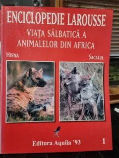 Viata salbatica a animalelor din Africa. Hiena, Sacalul