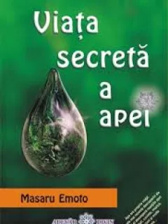 Viata secreta a apei - Masaru Emoto