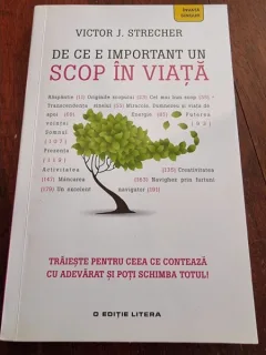 Victor J. Strecher - De ce e important un scop in viata