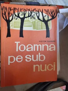 Victor Tulbure - Toamna pe sub nuci