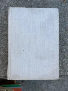 Victor Vascenco - Dictionar de buzunar roman-rus
