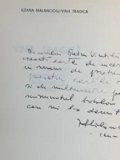 Vina tragica - Ileana Malancioiu