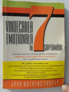 VINDECAREA EMOTIONALA IN 7 SAPTAMANI DE JOAN MATHEWS LARSON