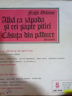 Vinil cu povesti: Fratii Grimm