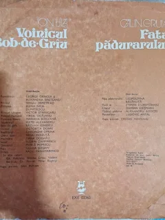 Vinil cu povesti: Ion Lila si Calin Gruia
