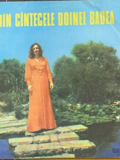 Vinil Din cantecele Doinei Badea - Doina Badea