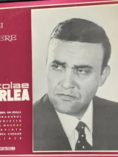 Vinil Nicolae Herlea - Arii din opere