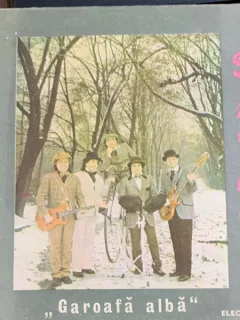 Vinil Savoy - Garoafa alba