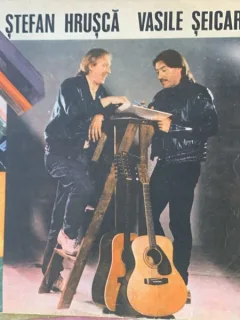 Vinil Stefan Hrusca, Vasile Seicaru