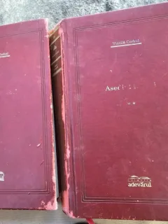Vintila Corbul - Asediul Romei 2 volume