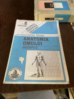 Viorel Ranga - Anatomia omului. Membrele, volumul II