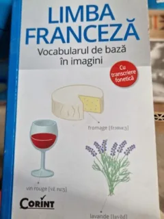 Virginie Pironin - Limba Franceza. Vocabularul de baza in imagini