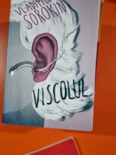 Viscolul - Vladimir Sorokin