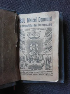 VISUL MAICII DOMNULUI SI A PLACUTILOR LUI DUMNEZEU